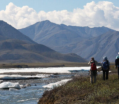 Birding Along The Aichilik River On A Day Hike From Camp In The Arctic National Wildlife Refuge. Photo Carol Comeau.