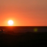 Sometime After Midnight On The Coastal Plain. Photo Aaron Lang