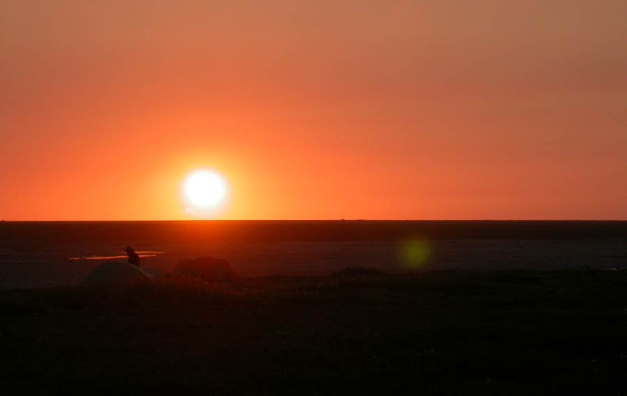 Sometime after midnight on the coastal plain. Photo Aaron Lang