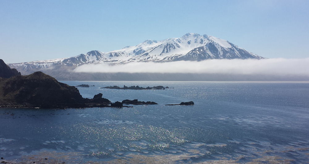 If we're lucky enough to get clear weather while birding Adak we get choice views of Mount Moffet, the island's highest peak. Photo Aaron Lang.