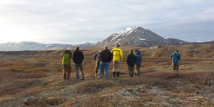 An early morning spent with Arctic Warblers and Bluethroat.