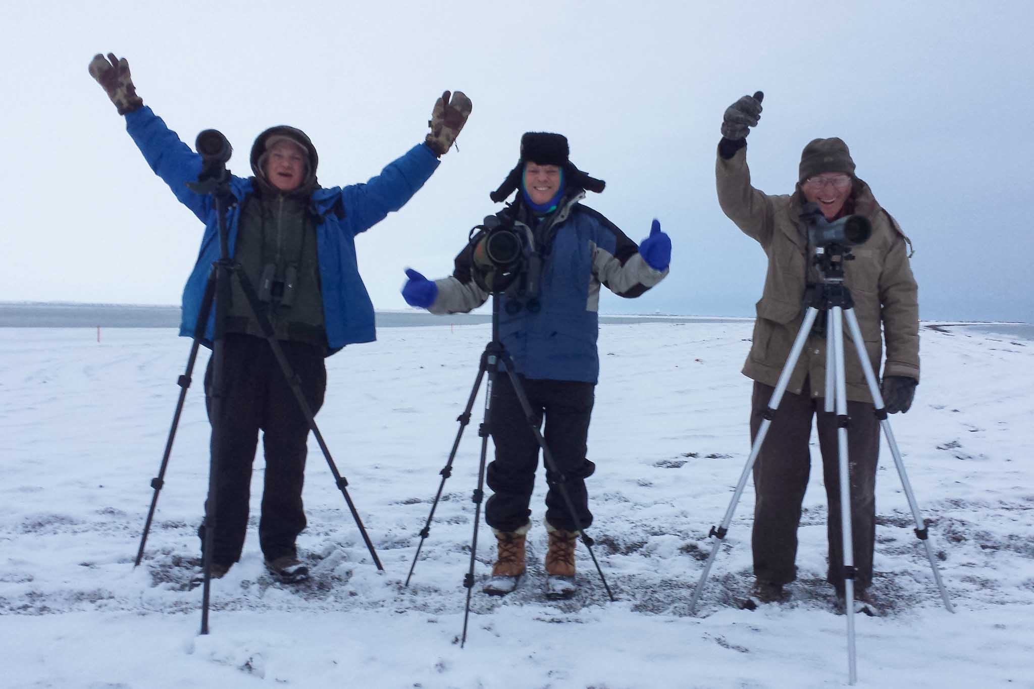 Happy birders celebrate finding a Polar Bear in Barrow, Alaska