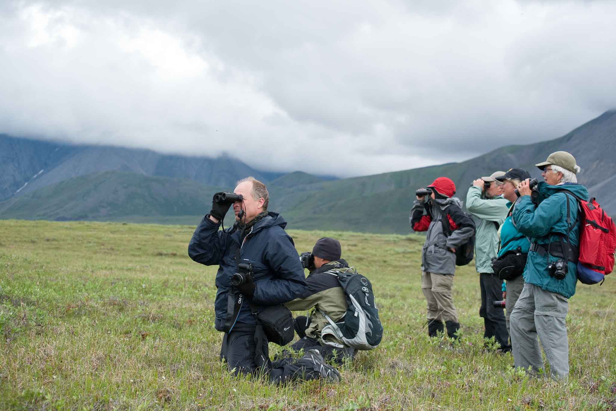 Birding the Arctic National Wildlife Refuge, Alaska